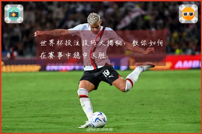 世界杯投注技巧大揭秘，教你如何在赛事中稳中求胜