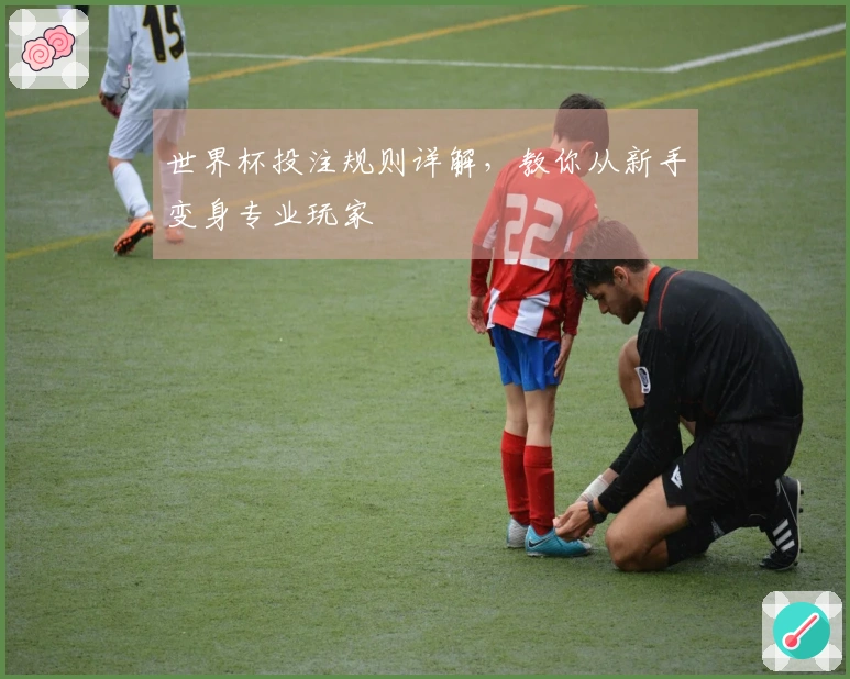 世界杯投注规则详解，教你从新手变身专业玩家