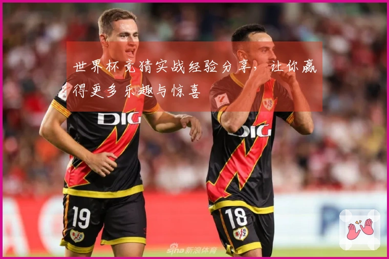 世界杯竞猜实战经验分享，让你赢得更多乐趣与惊喜