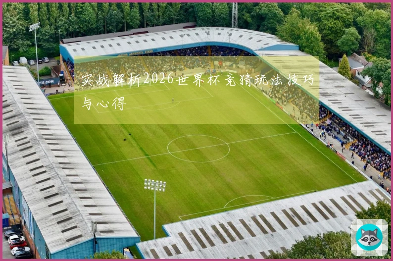 实战解析2026世界杯竞猜玩法技巧与心得