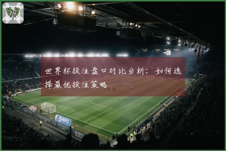 世界杯投注盘口对比分析：如何选择最优投注策略