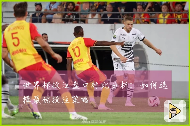 世界杯投注盘口对比分析：如何选择最优投注策略