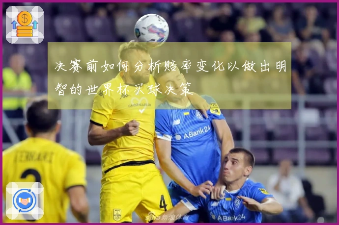 决赛前如何分析赔率变化以做出明智的世界杯买球决策