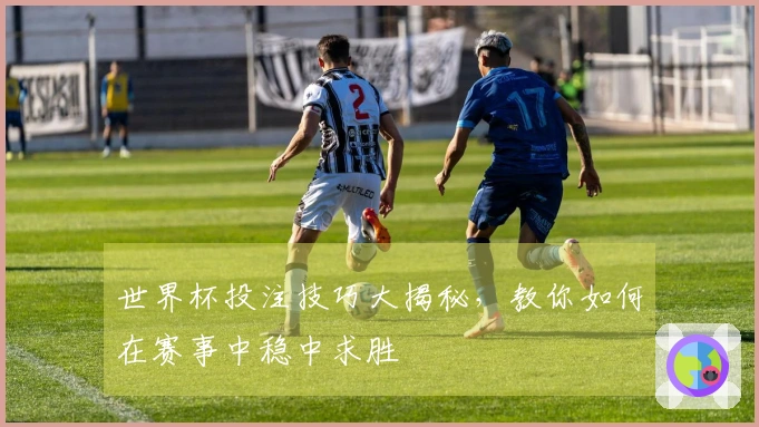 世界杯投注技巧大揭秘，教你如何在赛事中稳中求胜