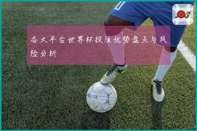各大平台世界杯投注优势盘点与风险分析