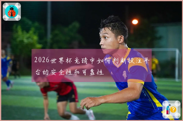 2026世界杯竞猜中如何判断投注平台的安全性和可靠性