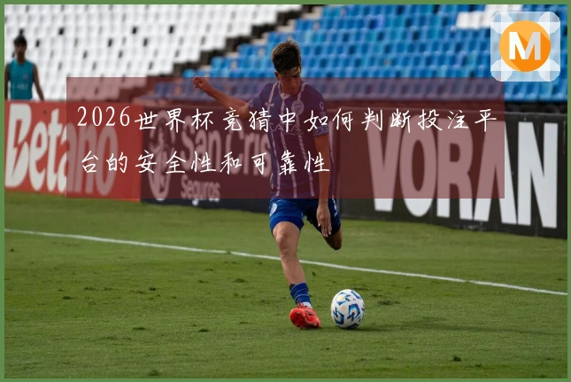 2026世界杯竞猜中如何判断投注平台的安全性和可靠性