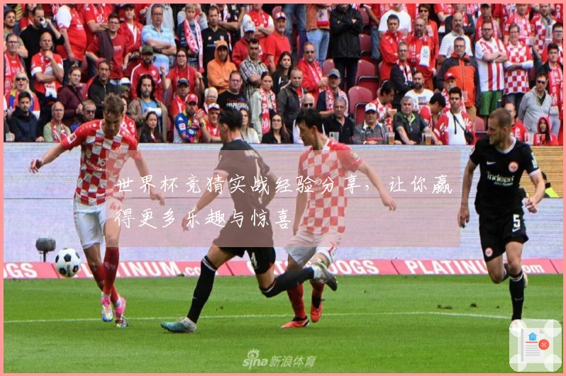 世界杯竞猜实战经验分享，让你赢得更多乐趣与惊喜