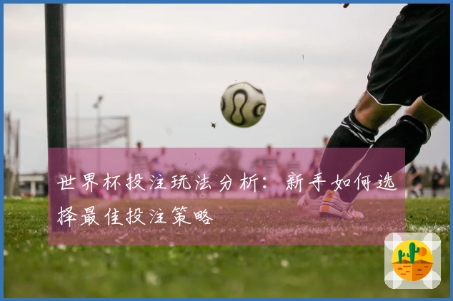 世界杯投注玩法分析：新手如何选择最佳投注策略