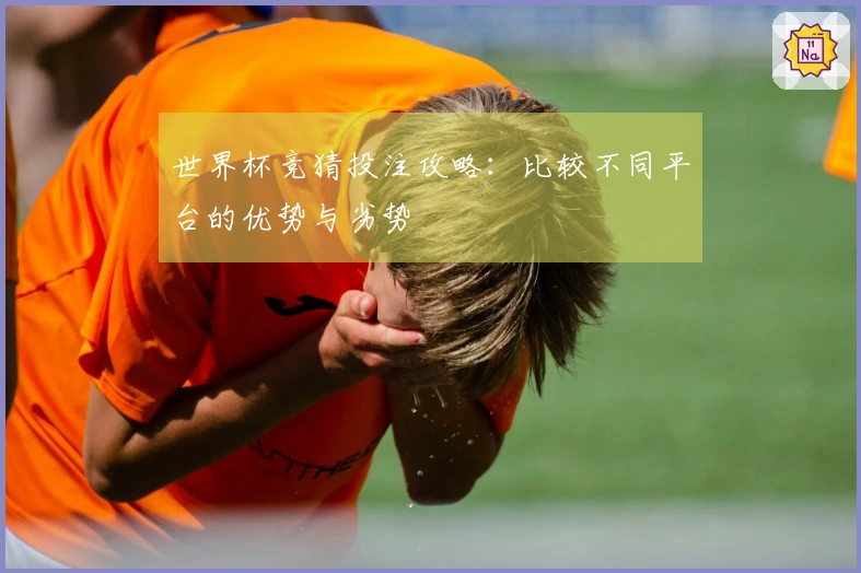 世界杯竞猜投注攻略：比较不同平台的优势与劣势