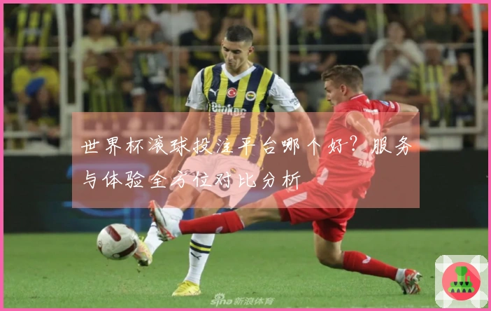 世界杯滚球投注平台哪个好？服务与体验全方位对比分析