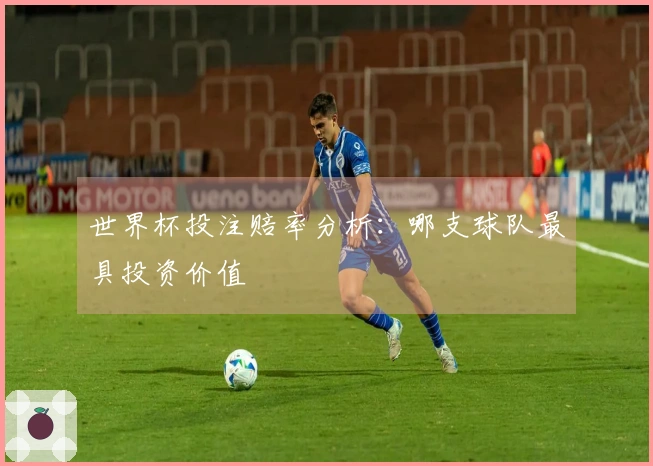 世界杯投注赔率分析：哪支球队最具投资价值