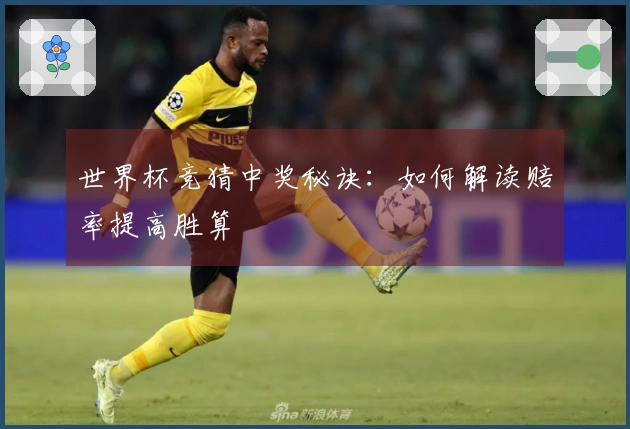 世界杯竞猜中奖秘诀：如何解读赔率提高胜算