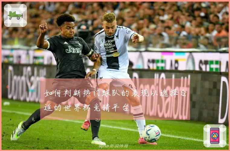 如何判断热门球队的表现以选择合适的世界杯竞猜平台