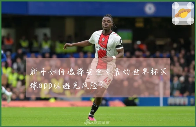 新手如何选择安全可靠的世界杯买球app以避免风险？