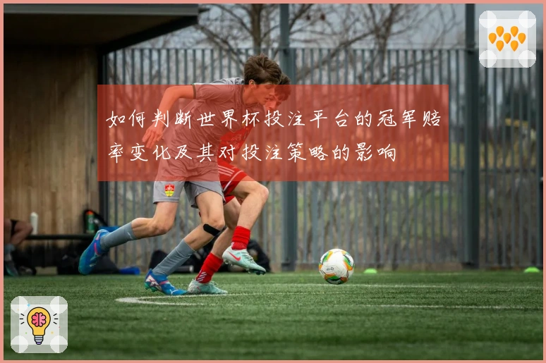 如何判断世界杯投注平台的冠军赔率变化及其对投注策略的影响